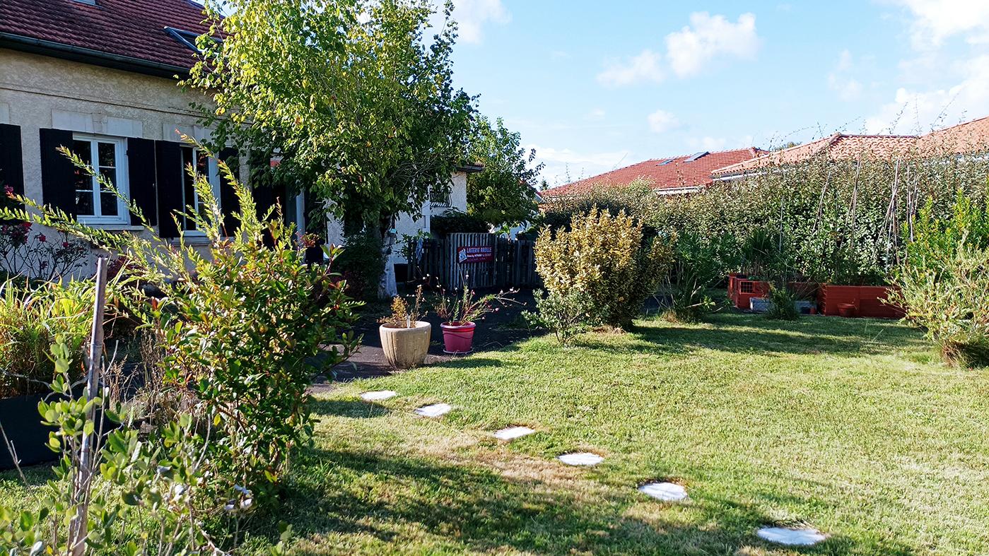 Photo 19